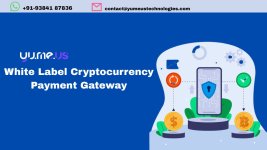 White Label Cryptocurrency Payment Gateway (1).jpg