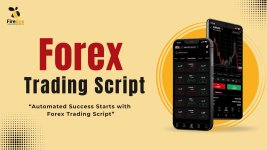 forex-trading-script.jpg