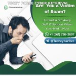 How can you hire a Bitcoin recovery expert.jpeg