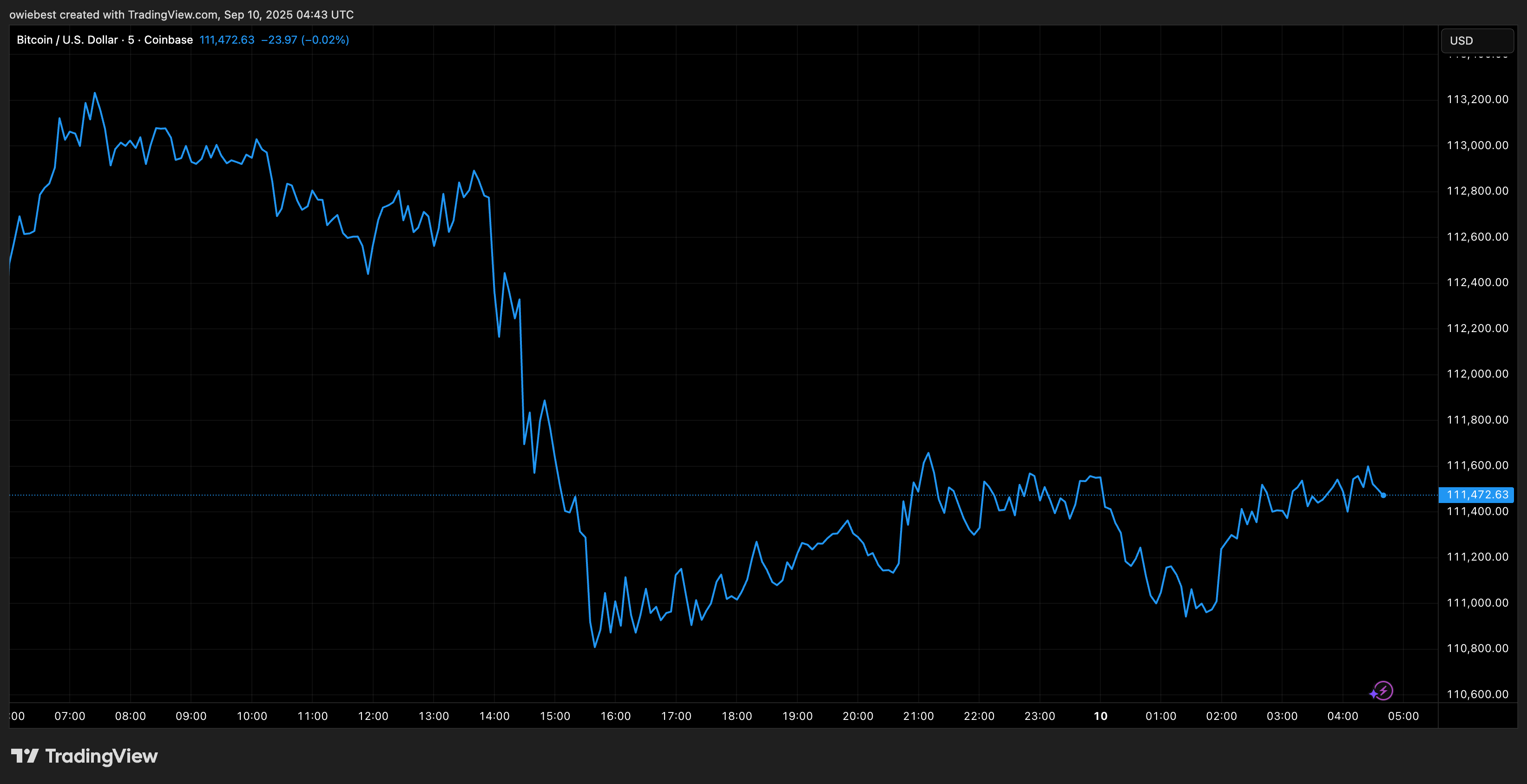 Bitcoin price chart from TradingView.com