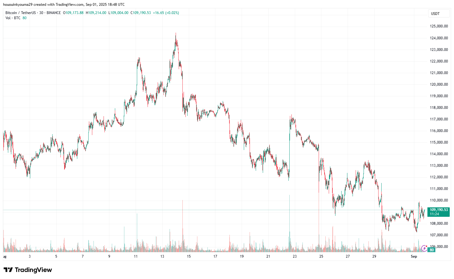 Bitcoin Price Chart