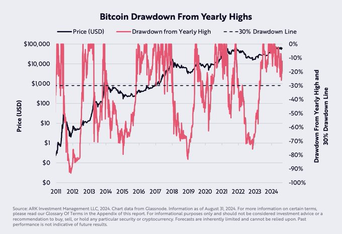 Bitcoin Historical Drawdowns