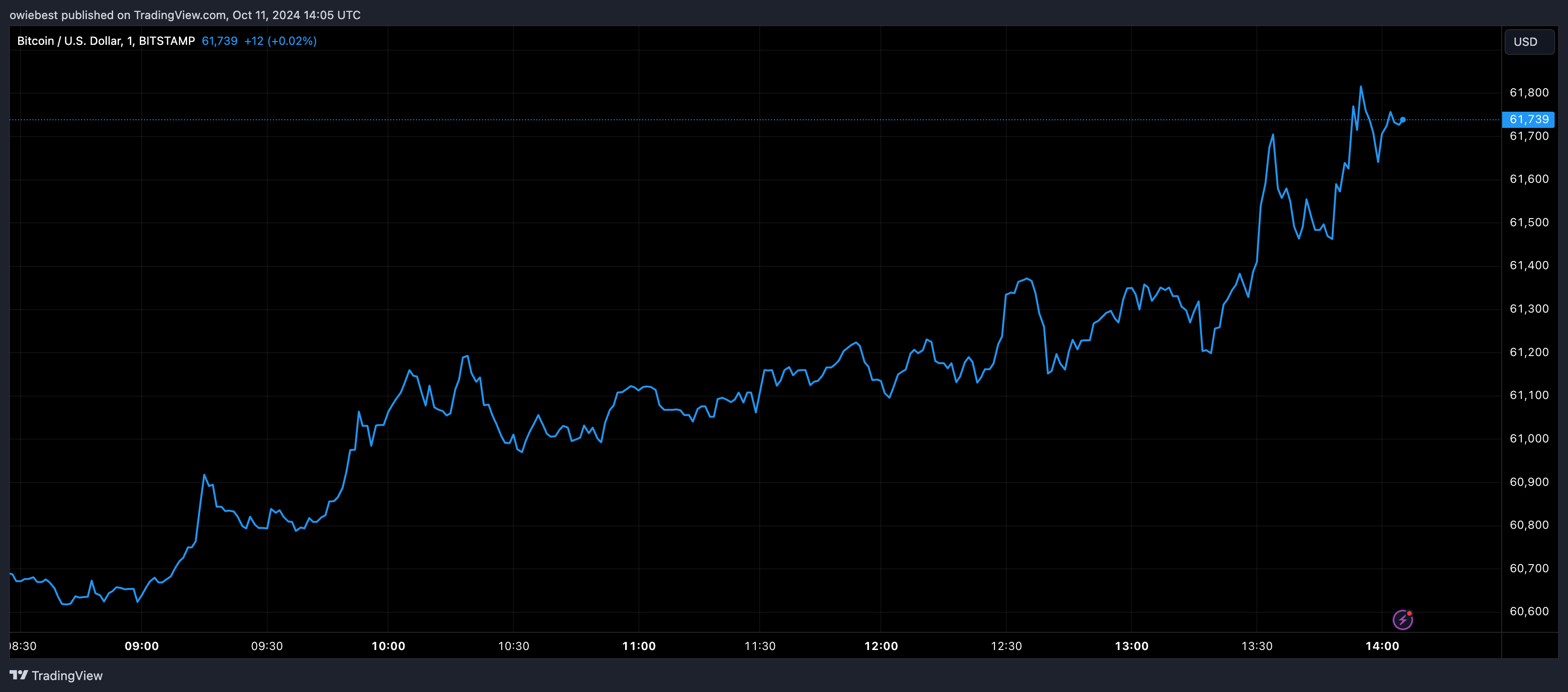 Bitcoin price chart from Tradingview.com