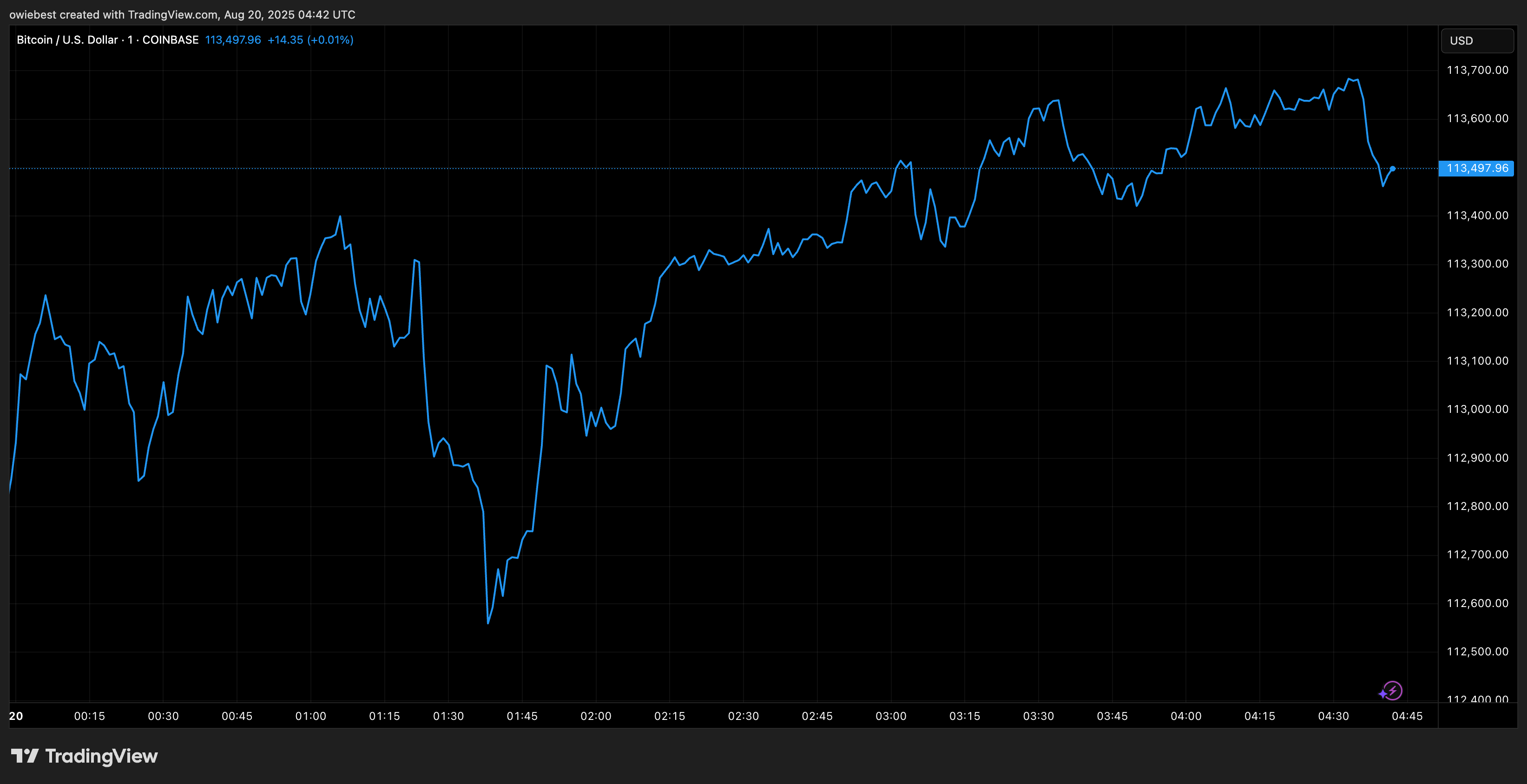 Bitcoin price charr from TradingView.com