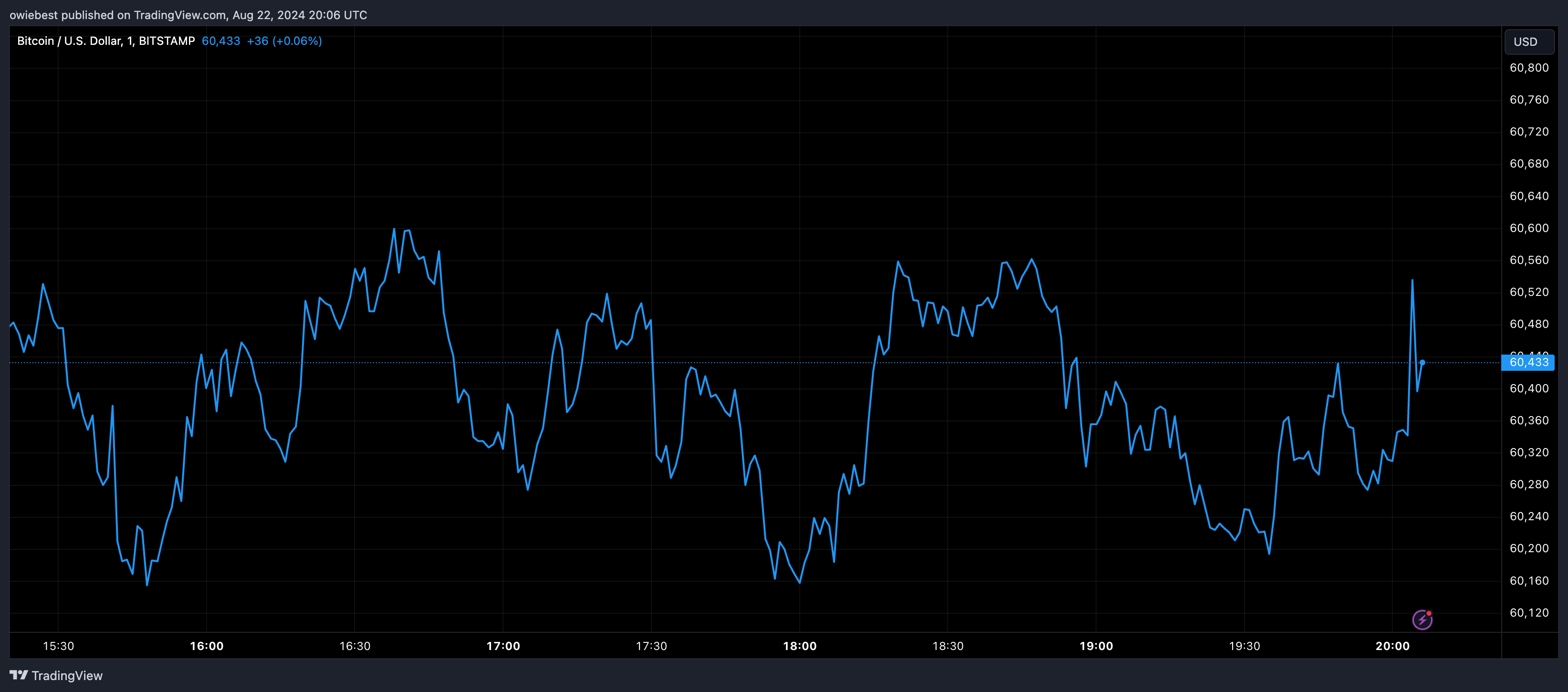 Bitcoin price chart from Tradingview.com (Shiba Inu)