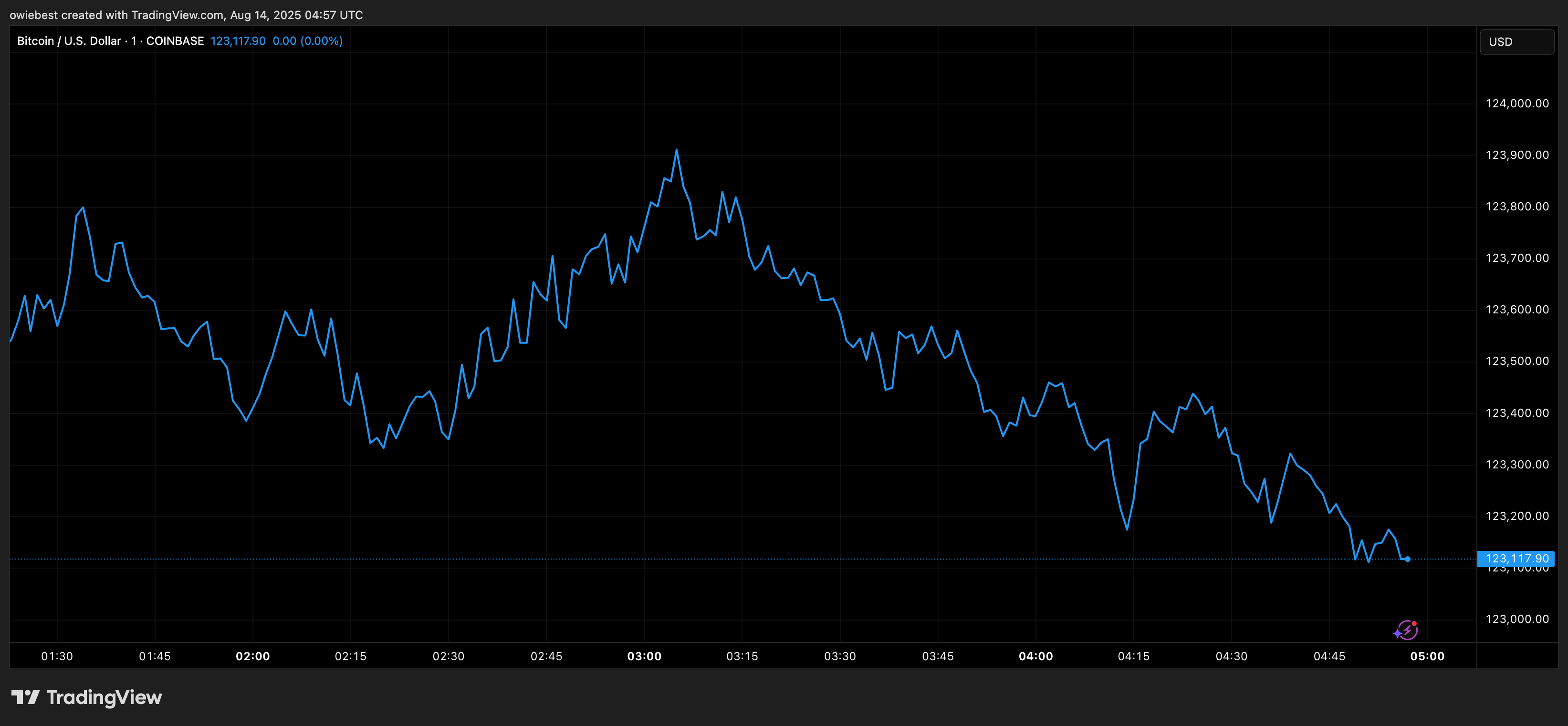 Bitcoin price chart from TradingView.com