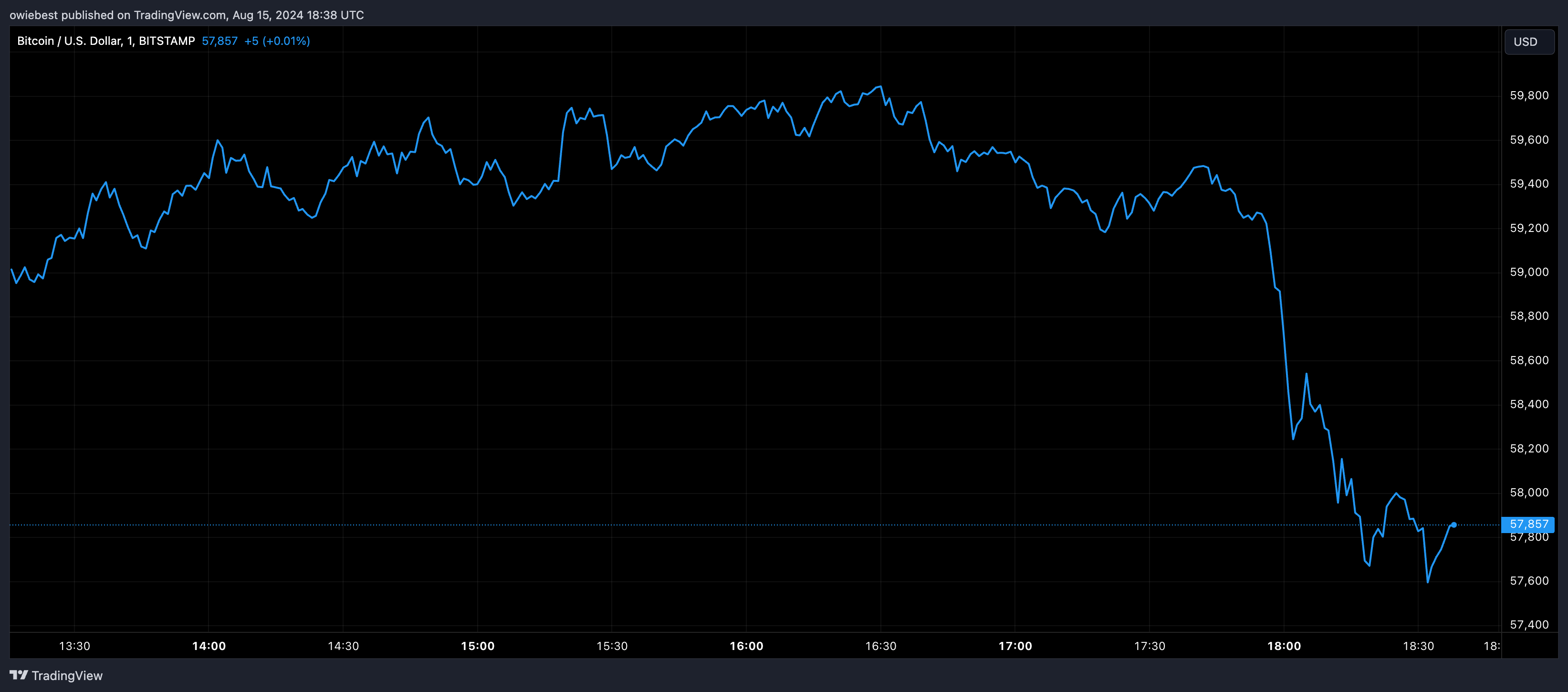 Bitcoin price chart from Tradingview.com