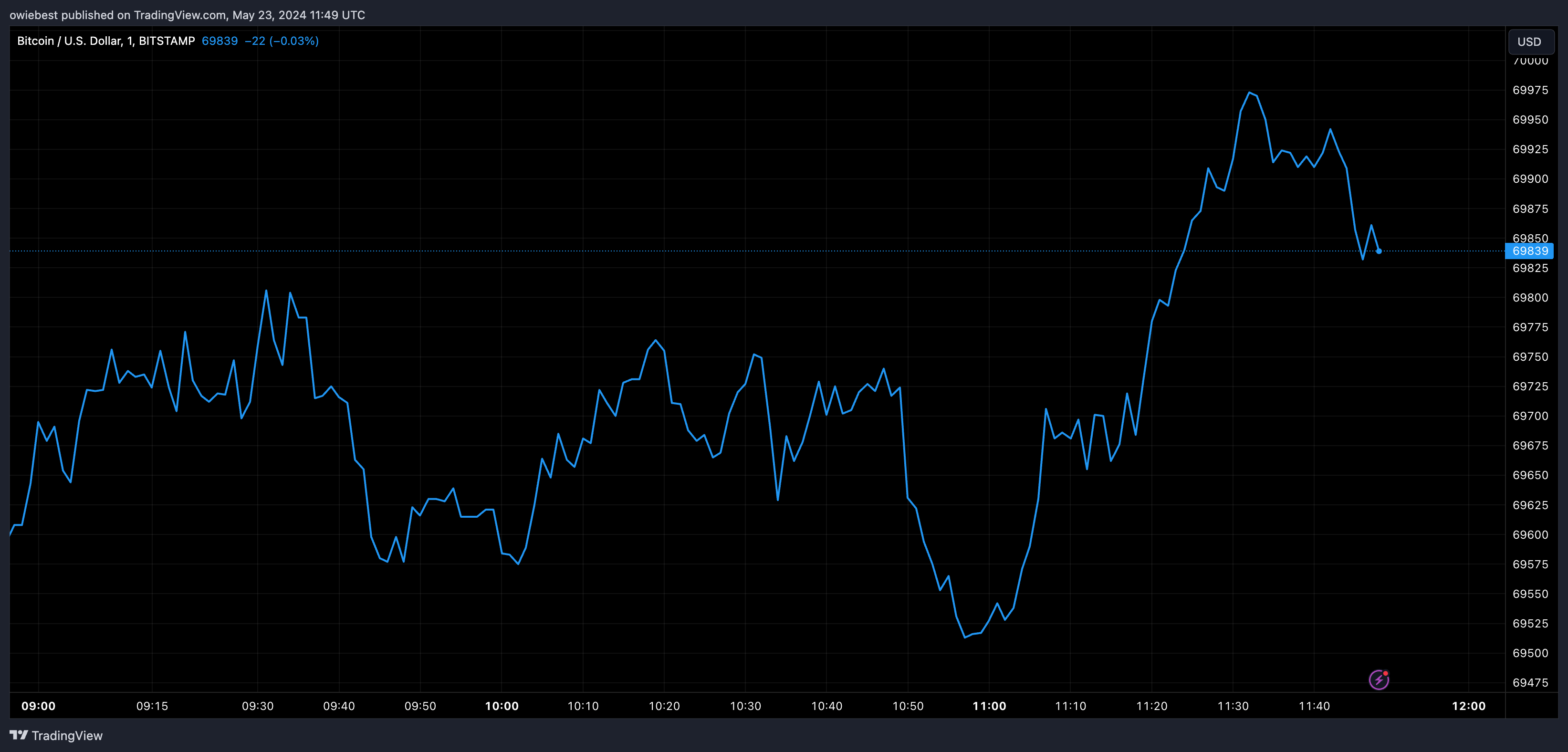 Bitcoin price chart from Tradingview.com (Donald Trump Dogecoin campaign donations)