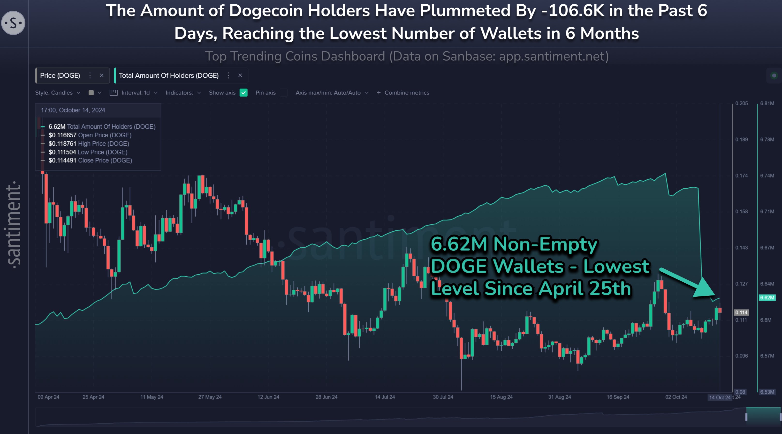 Dogecoin Total Amount Of Holders