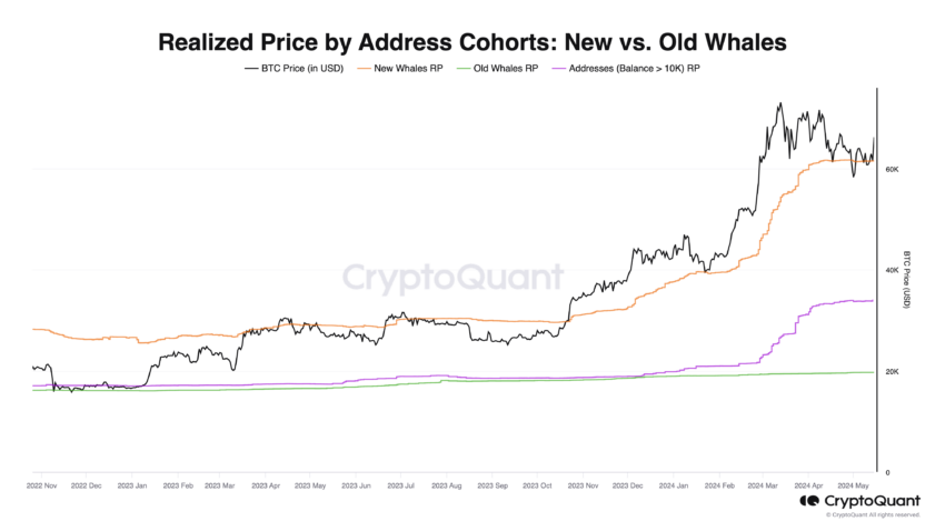 Realized Price by Address Cohorts: CryptoQuant Realized Price by Address Cohorts: CryptoQuant