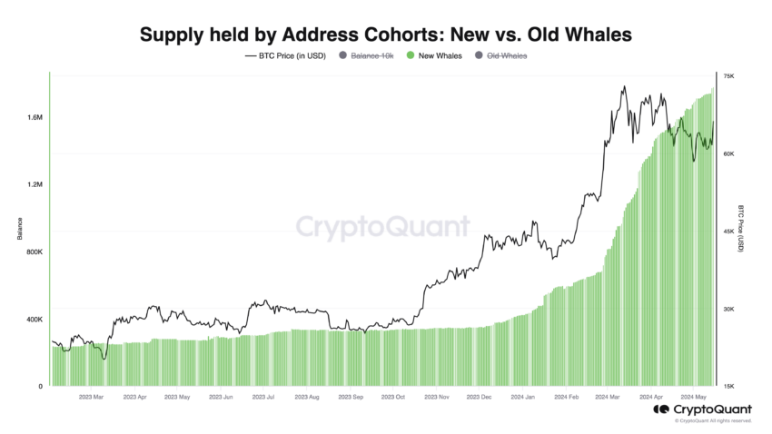 Supply Held By New Whales: CryptoQuant Supply Held By New Whales: CryptoQuant
